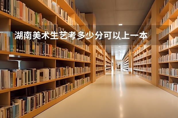湖南美术生艺考多少分可以上一本