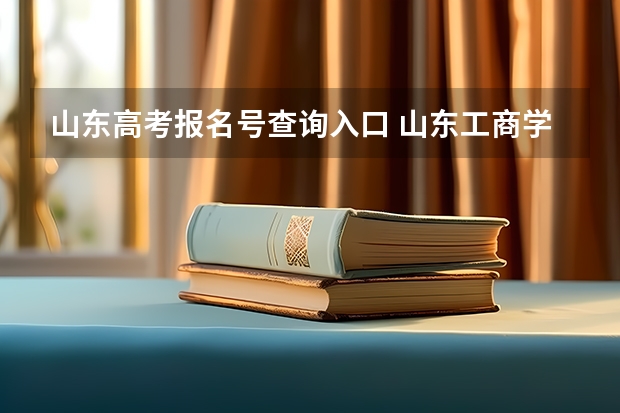 山东高考报名号查询入口 山东工商学院成人高考报名入口？