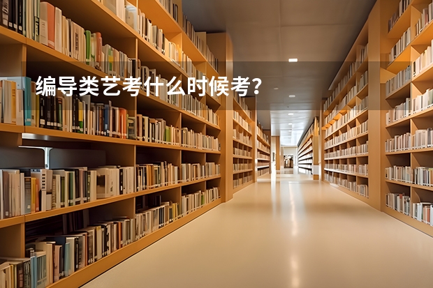 编导类艺考什么时候考？
