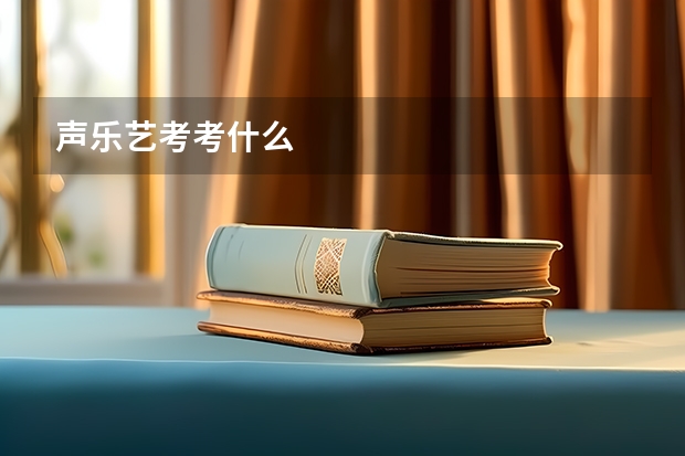 声乐艺考考什么