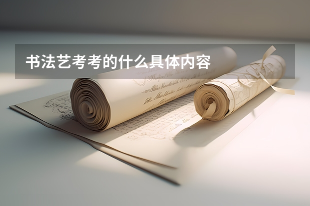 书法艺考考的什么具体内容