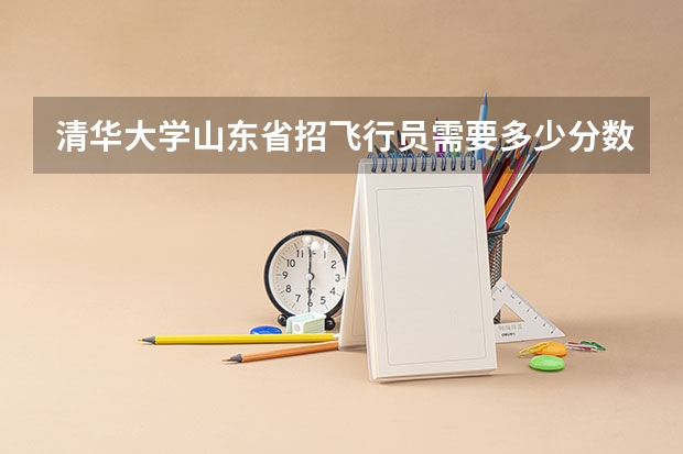 清华大学山东省招飞行员需要多少分数