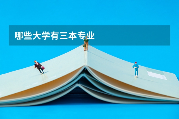 哪些大学有三本专业