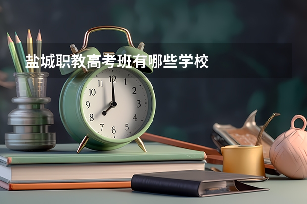 盐城职教高考班有哪些学校