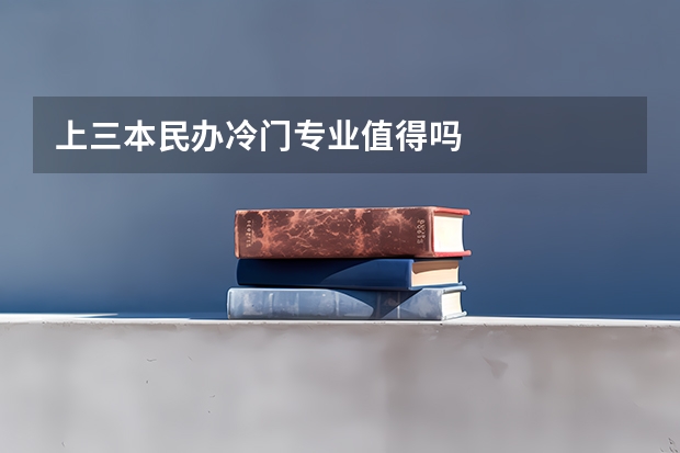 上三本民办冷门专业值得吗