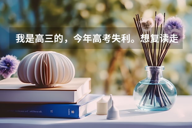 我是高三的，今年高考失利。想复读走艺考，原来有绘画功底。。。不过现在不知道想参加艺考现在该怎么做，