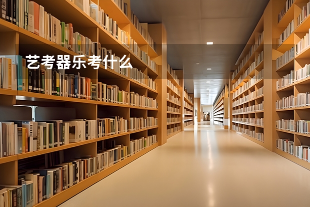 艺考器乐考什么