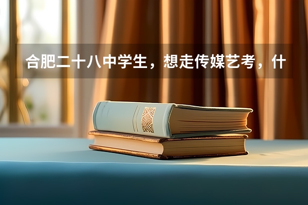 合肥二十八中学生，想走传媒艺考，什么是省考什么是校考？两个考试都要参加吗？