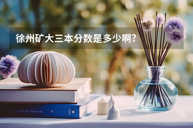 徐州矿大三本分数是多少啊?