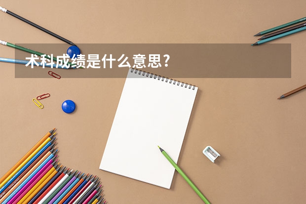术科成绩是什么意思?