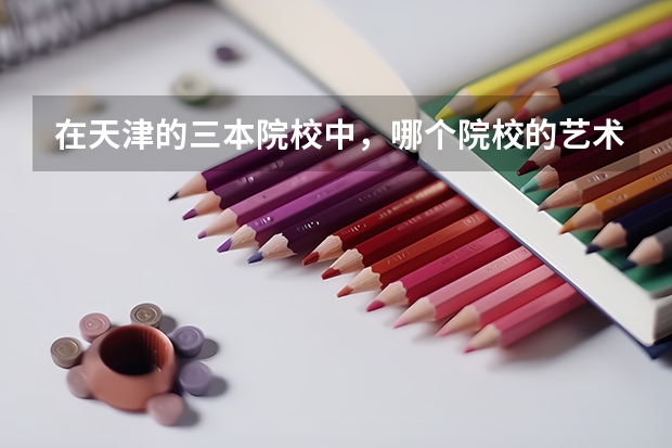 在天津的三本院校中，哪个院校的艺术学院比较好呀，学费大约多少，环境怎么样？