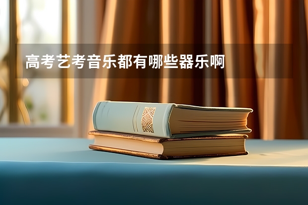高考艺考音乐都有哪些器乐啊