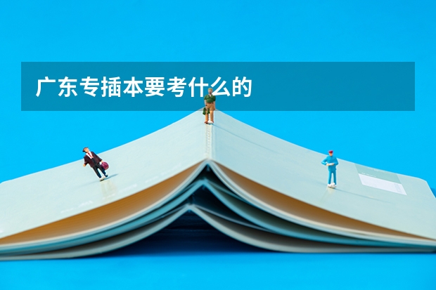 广东专插本要考什么的