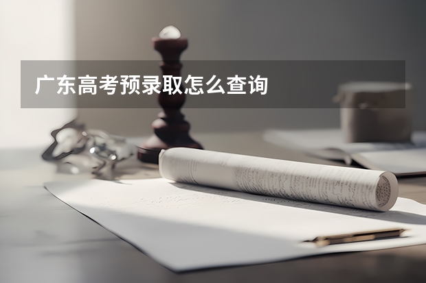 广东高考预录取怎么查询