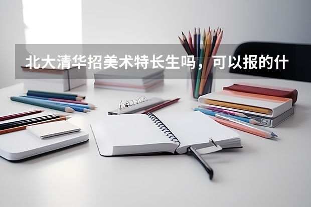 北大清华招美术特长生吗，可以报的什么专业是
