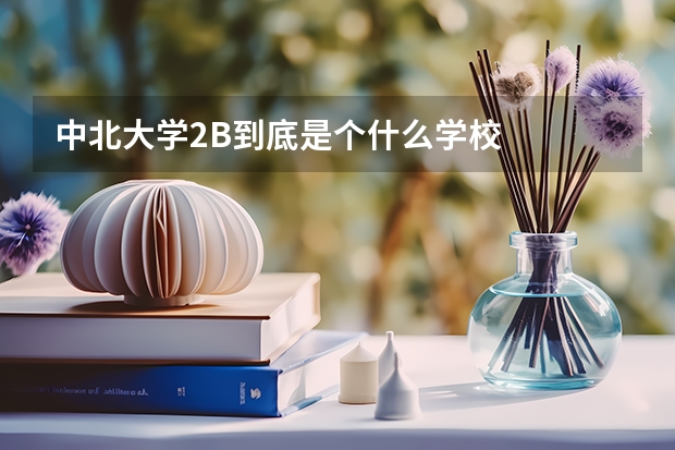 中北大学2B到底是个什么学校