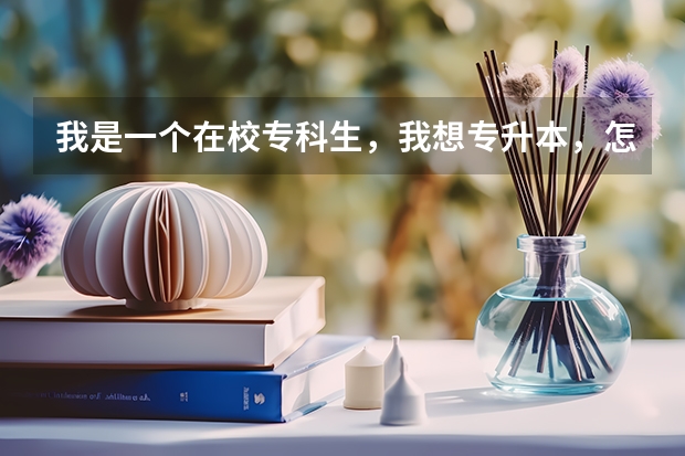 我是一个在校专科生，我想专升本，怎么报名啊