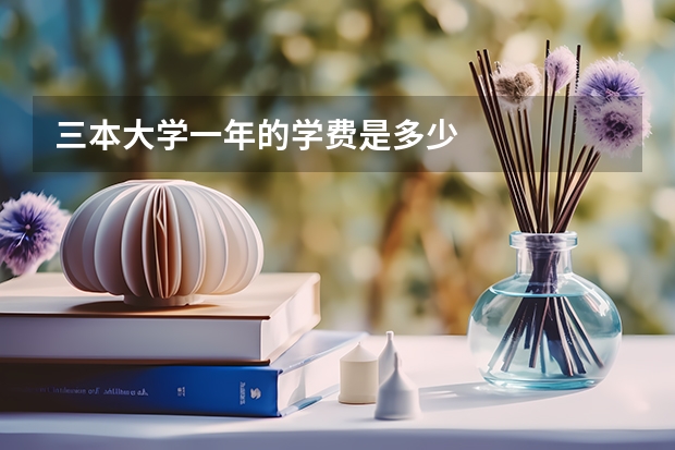 三本大学一年的学费是多少