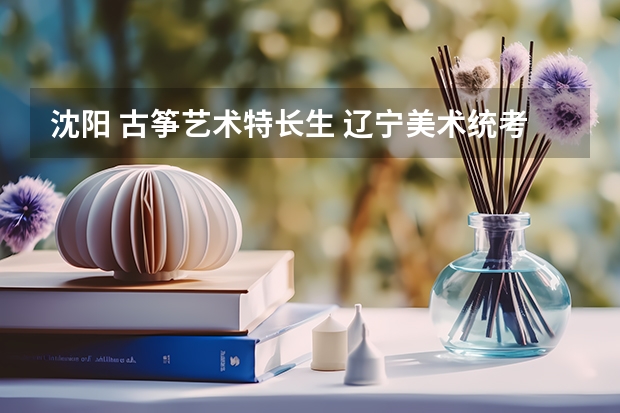 沈阳 古筝艺术特长生 辽宁美术统考时间