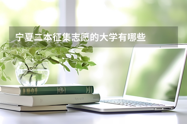宁夏二本征集志愿的大学有哪些
