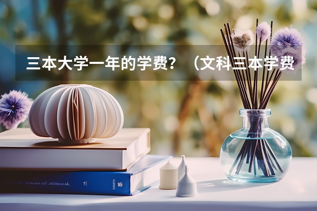 三本大学一年的学费？（文科三本学费低的公立大学）