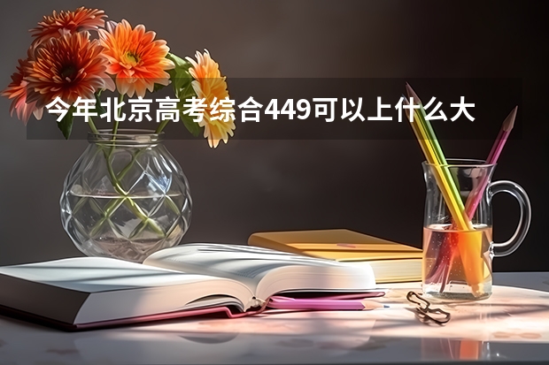 今年北京高考综合449可以上什么大学