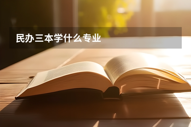 民办三本学什么专业