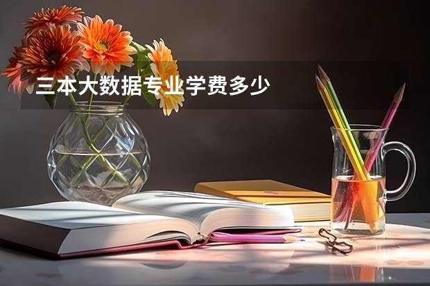 三本大数据专业学费多少