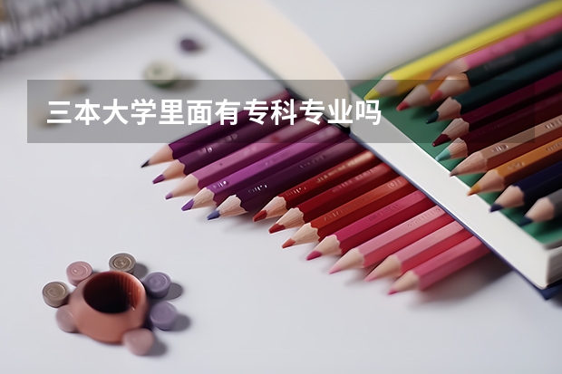 三本大学里面有专科专业吗