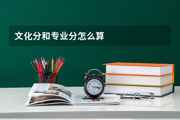 文化分和专业分怎么算