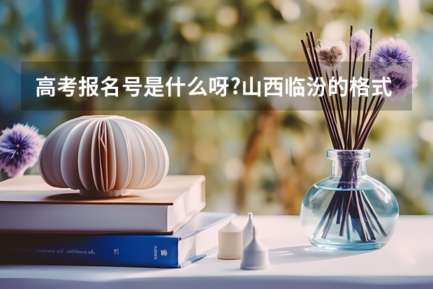 高考报名号是什么呀?山西临汾的格式大概是什么？