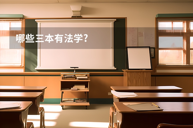 哪些三本有法学?